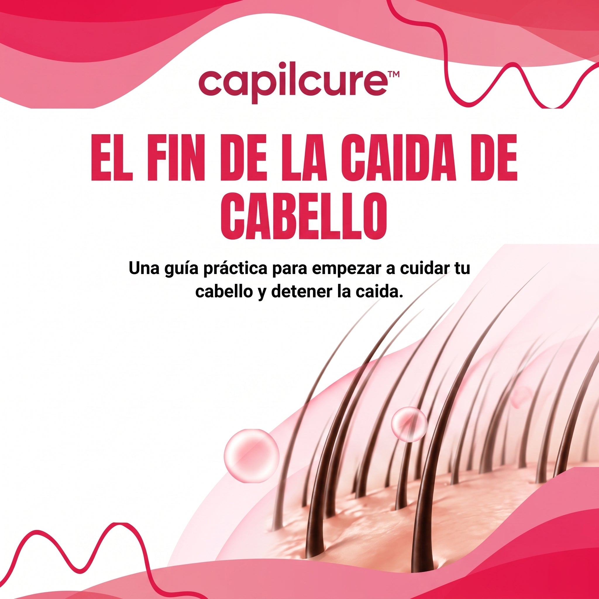 Guía de Cuidado Capilar y Regeneración (PDF).